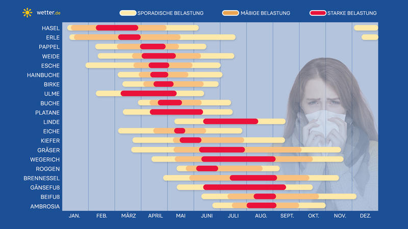 Pollen-Kalender, Beifuß, Birke, Ambrosia, Allergien, Pflanzen