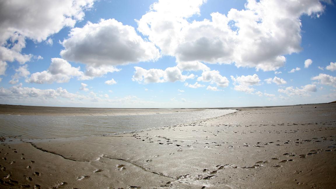 ARCHIV - Blick bei Niedrigwasser auf das Wattenmeer vor dem schleswig-holsteinischen Vollerwiek (Foto vom 16.06.2009). Das Wattenmeer könnte Ende Juni zum Erbe der Menschheit erklärt werden. Dann berät eine Kommission der UNESCO - der UN-Organisation