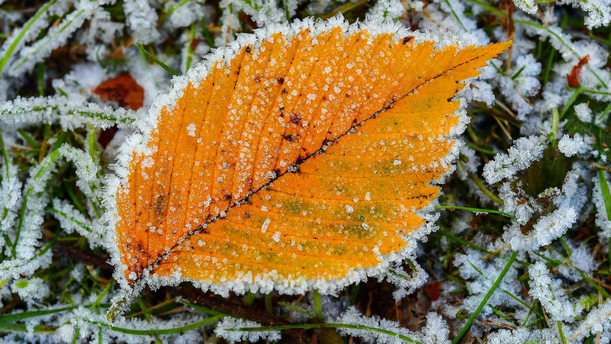 Die neue Wetterwoche ist extrem abwechslungsreich. Warme Spanienluft wirbelt uns zunächst fast in den Sommer zurück und nach dem Sturm bläst uns Polarluft Richtung Winter. Dann gibt es ein frostiges, aber wohl ruhiges Wochenende.