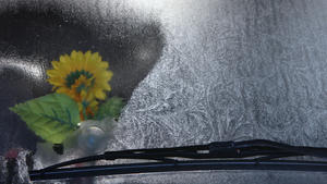 Langsam taut das Eis auf der Frontscheibe eines VW Käfers in der Morgensonne am Montag (14.11.2011) in Kaufbeuren (Schwaben). Klare frostige Nächte und Sonnenschein am Tage bestimmen das Wetter am bayerischen Alpenrand. Foto: Karl-Josef Hildenbrand dpa/lby ++