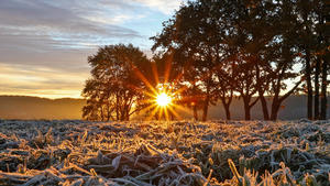 Goldener Oktober, Herbst im Siegerland, ein sehr kalter Herbstmorgen im Siegerland in Siegen-Oberschelden, die Sonne geht auf und scheint durch die Baume, Frost hat sich ueber die Wiesen gelegt Sonnenaufgang im Siegerland am 25.10.2021 in Siegen/Deutschland. *** Golden October, autumn in Siegerland, a very cold autumn morning in Siegerland in Siegen Oberschelden, the sun rises and shines through the trees, frost has settled over the meadows sunrise in Siegerland on 25 10 2021 in Siegen Germany