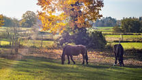 Die jahreszeitlichen Dinge übernehmen in diesem Jahr sehr pünktlich. Denn mit dem klimatologischen Herbstbeginn am 1. September kommt der Herbst mit aller Wucht zu uns. Die Temperaturen stürzen regelrecht ab, teilweise um bis zu 15 Grad!