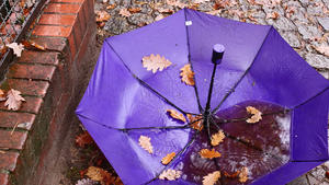 31.10.2020, Berlin. Herbstlich gefaerbte Blaetter liegen in einem Regenschirm, der wiederrum auf einem Gehweg liegt, nachdem er wohl verloren oder vergessen wurde. Foto: Wolfram Steinberg/dpa