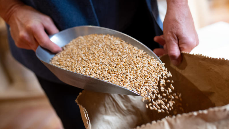 Bayern, Riedering: Müllerin Annelie Wagenstaller füllt in der Wagenstaller Mühle Weizenkörner in einen Sack.