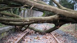 Extremwetter