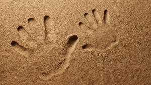 iStock-123495721.jpg