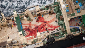 HANDOUT - The bloodied deck of the Nisshin Maru, stained from the butchering of a whale, 05 January 2014. Photo: Tim Watters / Sea Shepherd Australia (ACHTUNG: Nur zur redaktionellen Verwendung im Zusammenhang mit der Berichterstattung und der vollständigen Nennung der Quelle Tim Watters / Sea Shepherd Australia) ++