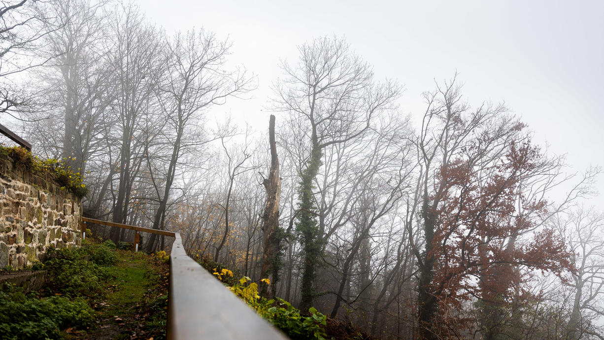 Heute bleibt es noch oft grau und im Norden und Nordwesten fällt zeitweise Regen oder Nieselregen. Etwas Sonne gibt es aber vor allem in Sachsen, in den Alpen und nachmittags auch an der Nordsee.