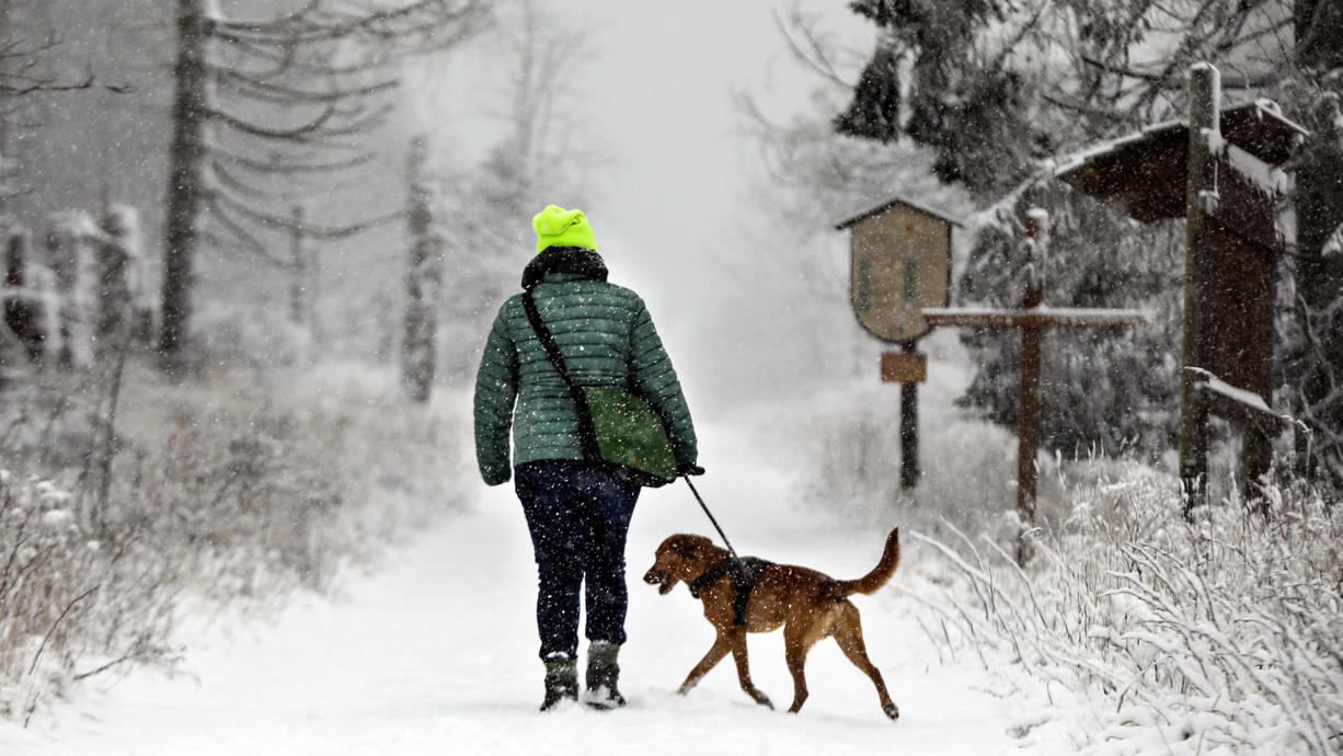 Der Frühwinter ist da und breitet sich am Wochenende weiter aus. Heute sind einzelne Schnee- und Schneeregenschauer auch im Norden dabei. Die Sonne hat kaum Chancen. So strahlt der Schnee nicht wirklich weiß, der Gesamteindruck ist eher grau.