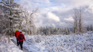 27.11.2021, Rheinland-Pfalz, Deuselbach: Spaziergänger gehen durch den ersten Schnee auf dem Gipfel des Erbeskopfs (816 m), dem höchsten Berg in Rheinland-Pfalz. Auch in den kommenden Tagen soll es auf den Höhen schneien. Foto: Harald Tittel/dpa +++ dpa-Bildfunk +++