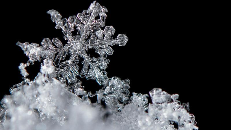 Ein Schneekristall, auch Schneeflocke genannt, liegt auf dem Boden im frisch gefallenen Schnee.