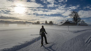 14.12.2021, Schweiz, Heimenschwand: Eine Skilangläuferin fährt bei Sonnenschein auf der Loipe. Foto: Alessandro Della Valle/KEYSTONE/dpa +++ dpa-Bildfunk +++