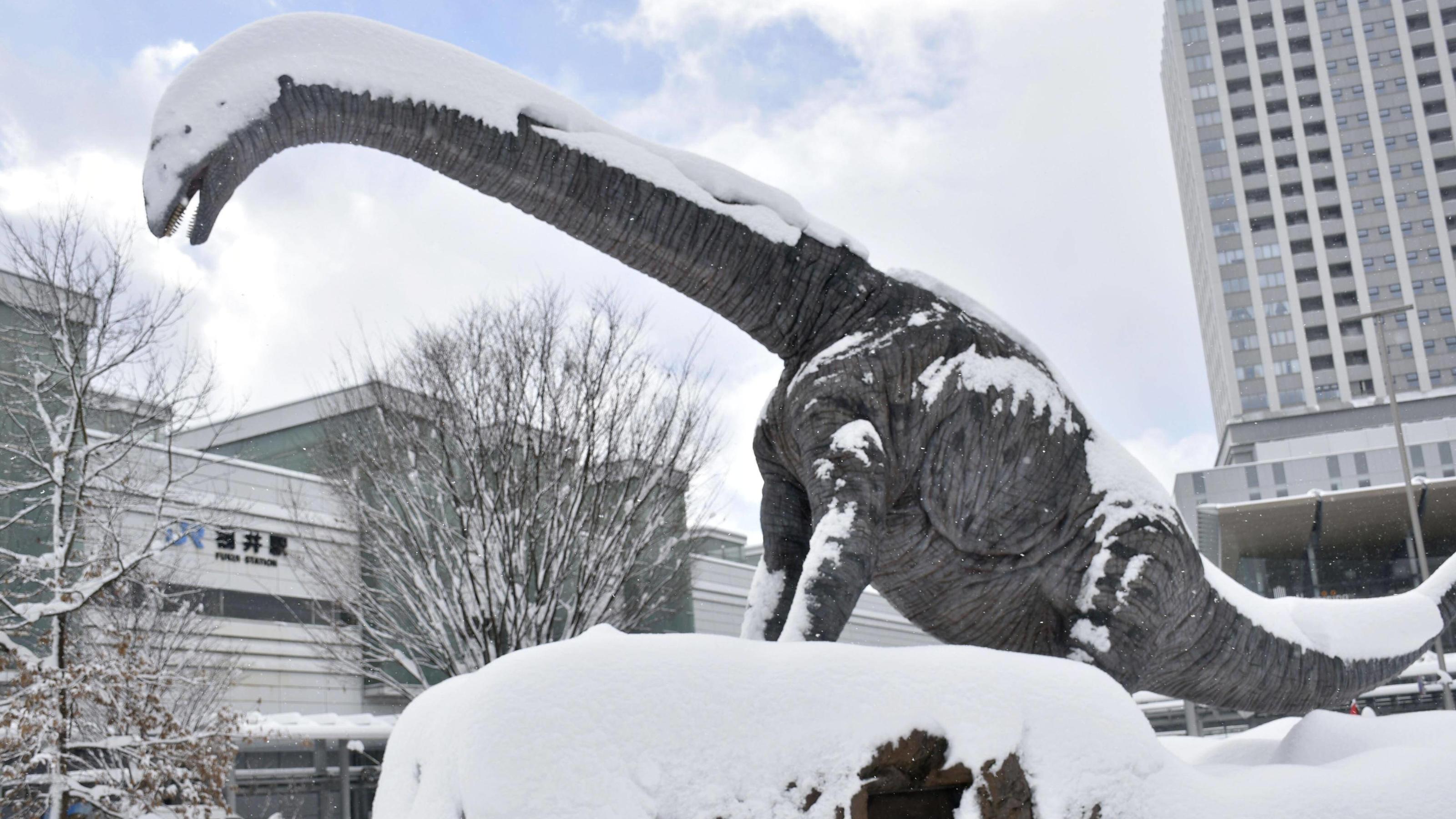  Freezing winter in Japan Photo taken on Dec. 27, 2021, shows a snow-covered dinosaur statue in front of Fukui Station in central Japan. Heavy snow hit many parts of Japan on Dec. 26. PUBLICATIONxINxGERxSUIxAUTxHUNxONLY A14AA0001175092P