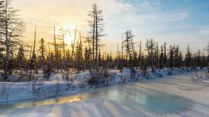 Winter landscape with frazil on a frozen stream in the evening. South Yakutia, Russia.
