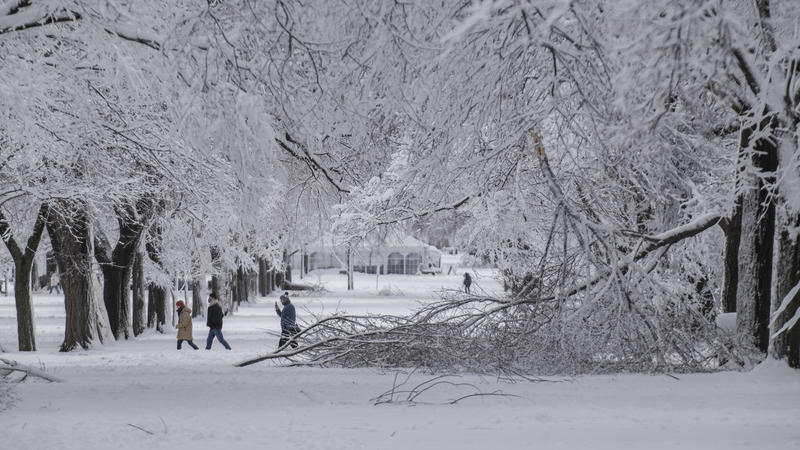 People are seen walking passed fallen branches from the heavy snow after a winter storm hit the Mid-Atlantic region covering Washington, DC on Monday, January 3, 2022. PUBLICATIONxINxGERxSUIxAUTxHUNxONLY WAP20220103539 KenxCedeno