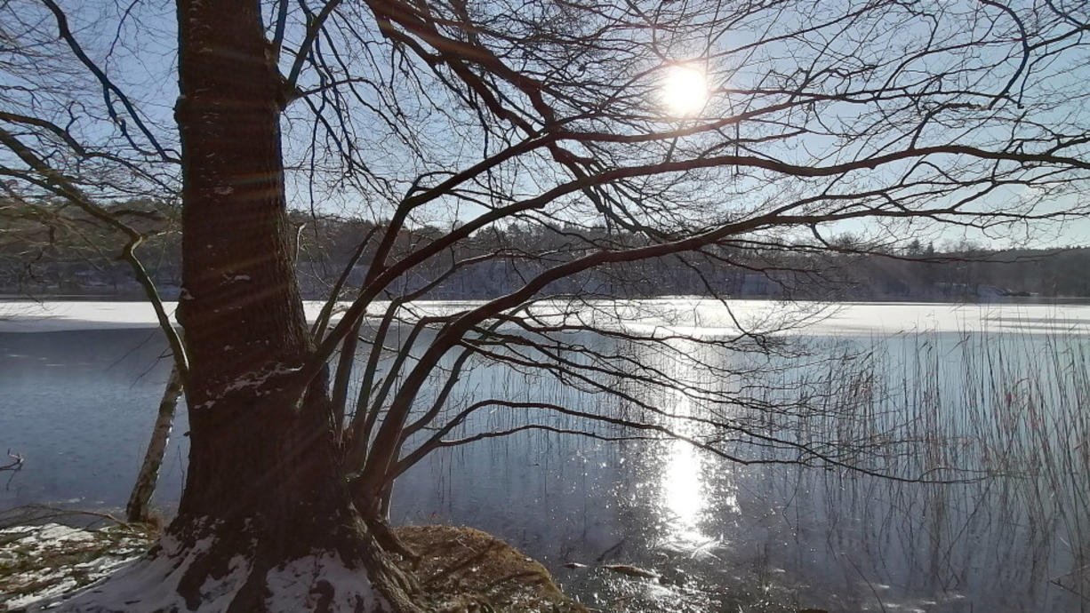Im Norden und Osten ist es heute meist trüb und stellenweise fällt etwas Nieselregen. Nur an der Ostsee gibt es nachmittags zunehmend sonnige Abschnitte. In den anderen Regionen geht es teils neblig, teils sonnig los.