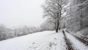 In der Nacht hat es wieder geschneit im Siegerland. Verschneite Landschaft in Siegen-Oberschelden. Winter im Siegerland am 08.01.2022 in Siegen/Deutschland. *** In the night it has snowed again in the Siegerland Snowy landscape in Siegen Oberschelden winter in the Siegerland on 08 01 2022 in Siegen Germany