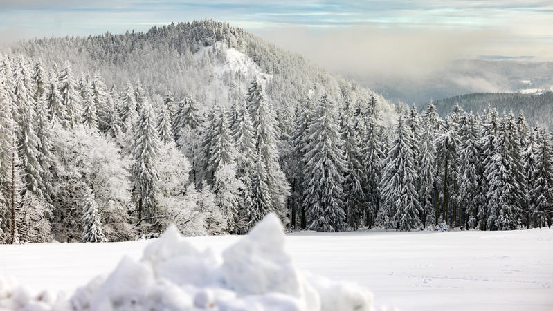 Schneelandschaft in Thüringen