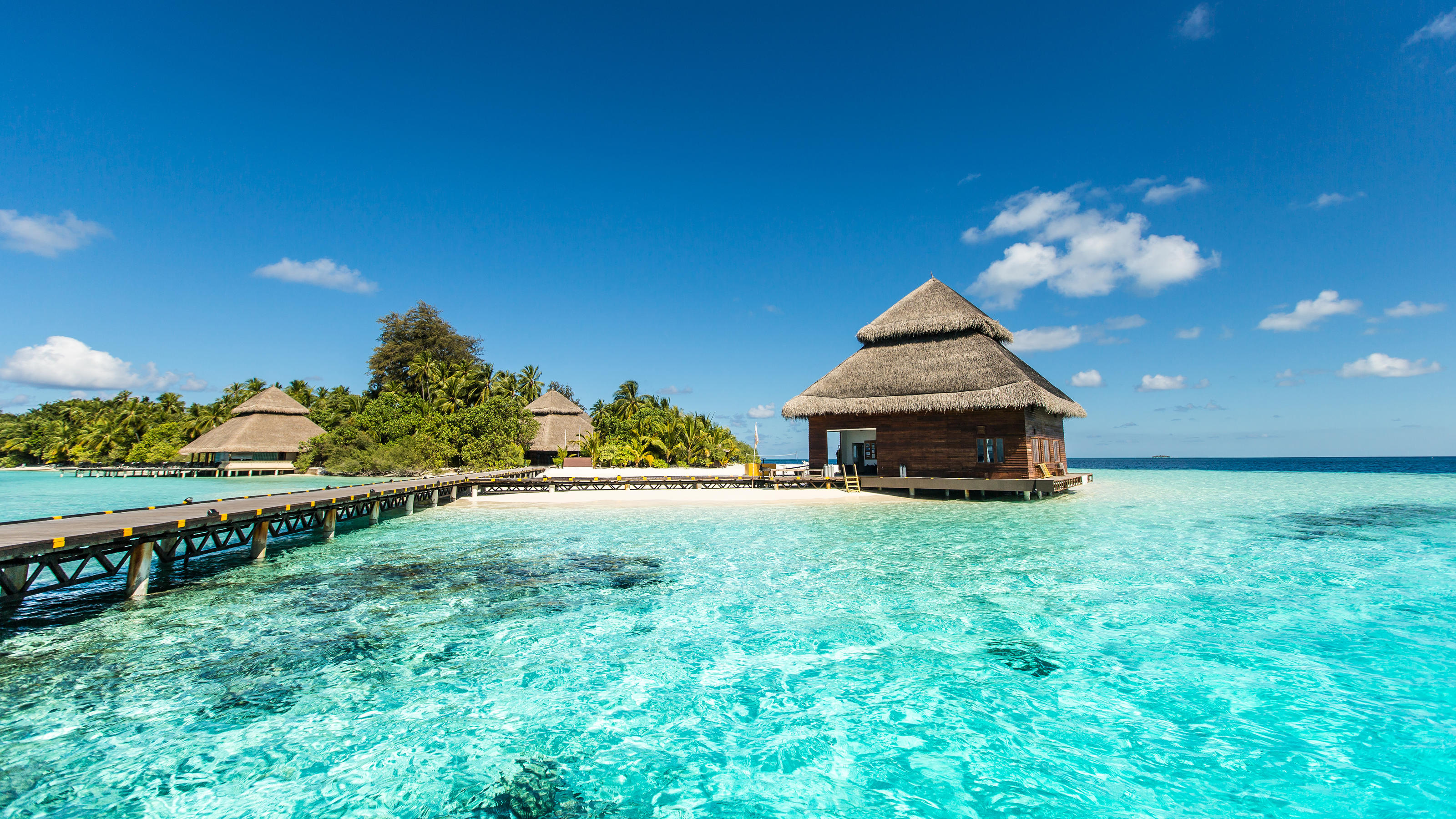 Eine tropische Insel auf den Malediven.
