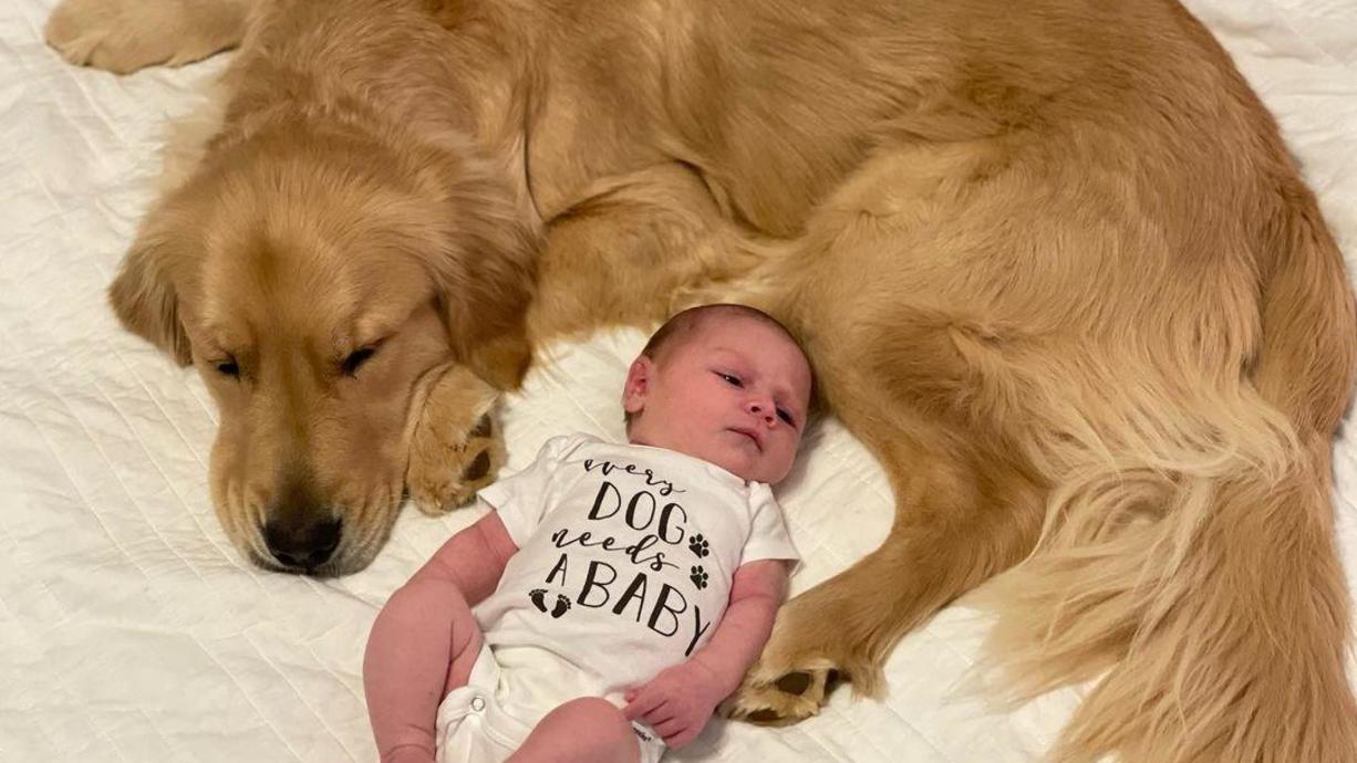 Familienhund trifft erstmals auf Baby 