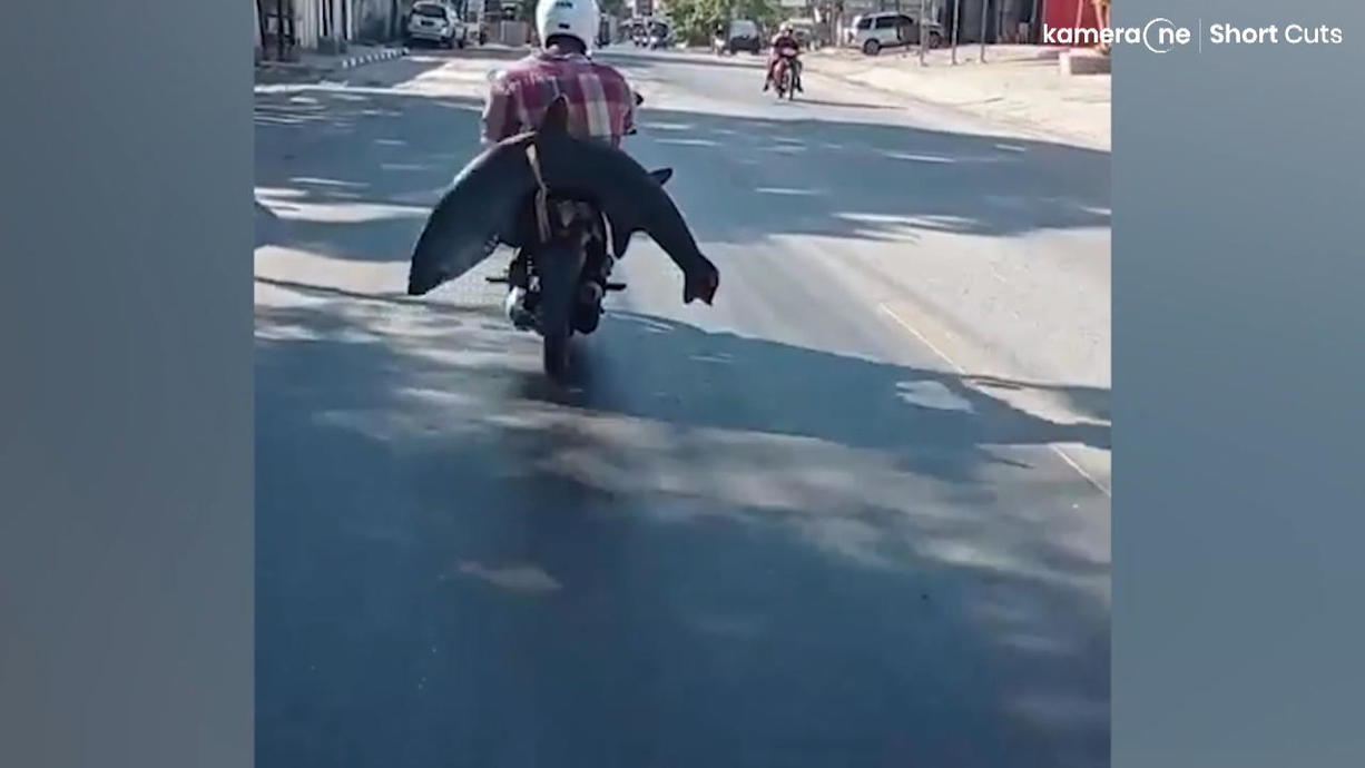 Rollerfahrer fährt mit Hai durch Stadt