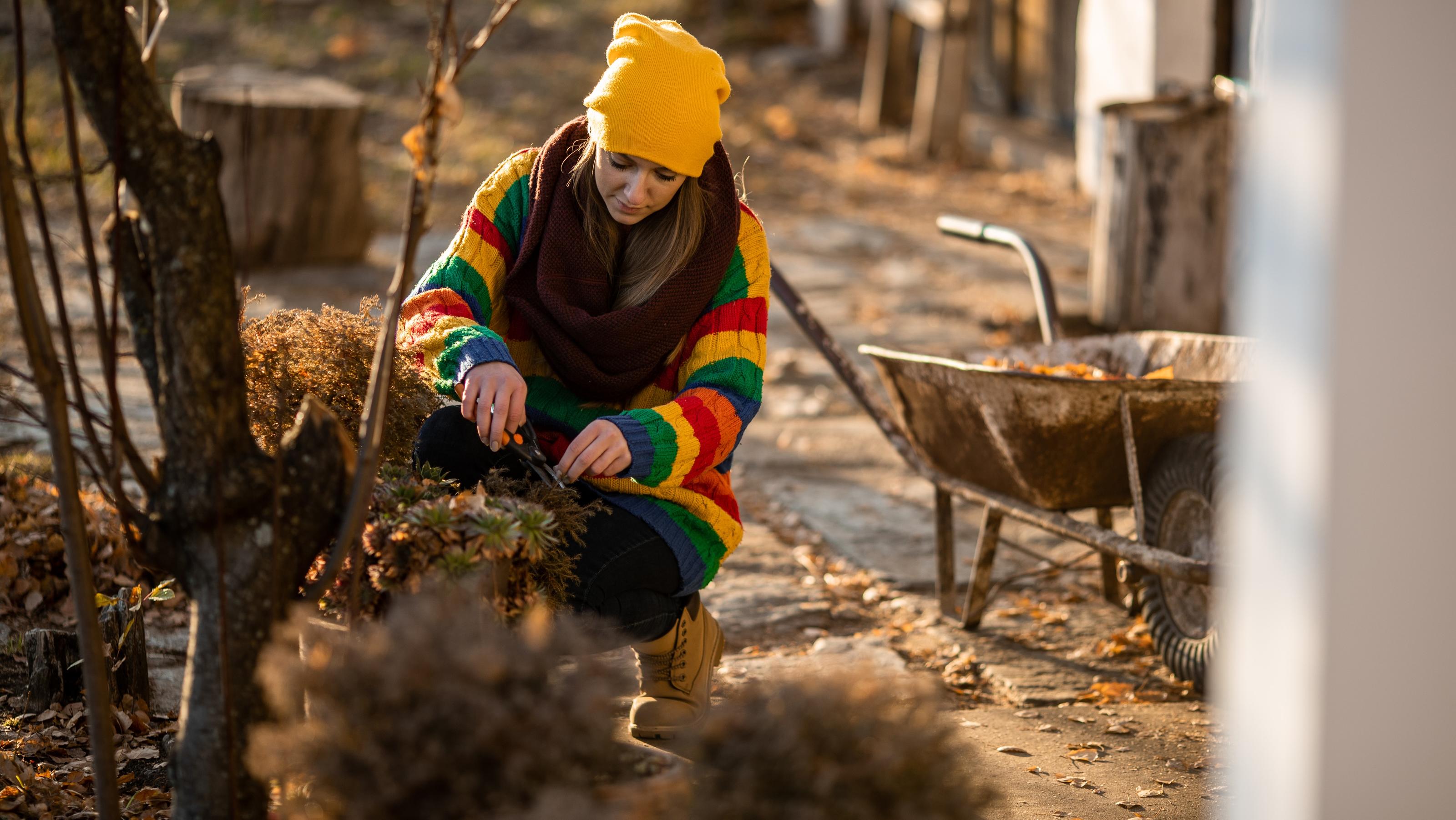 Garten im Februar Düngen, gießen, säen welche Arbeiten