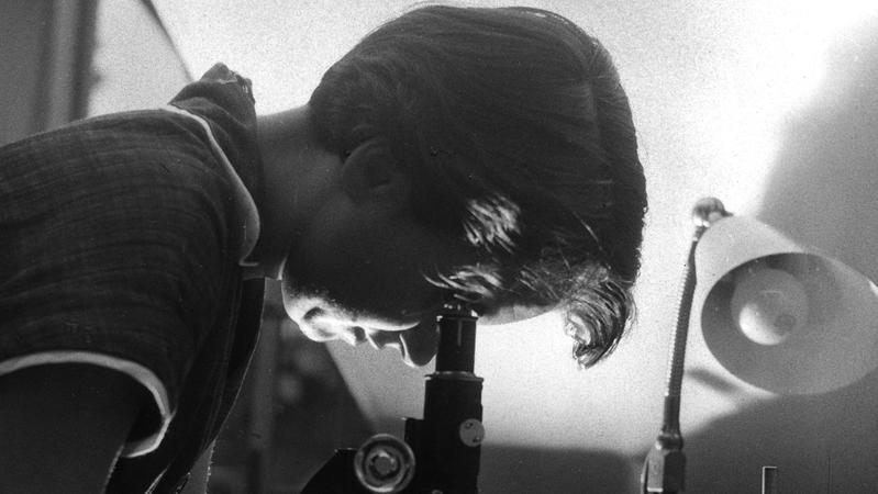 Die britische Biochemikerin Rosalind Franklin