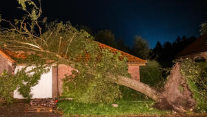 16.08.2021, Niedersachsen, Berumerfehn: Ein umgewehter Baum hängt noch halb auf dem Dach eines Hauses. Ein heftiger Sturm hat in der Gemeinde Großheide in Ostfriesland eine Schneise der Verwüstung hinterlassen. Nach Feuerwehr-Angaben wurden am Montagabend rund 50 Häuser durch den Sturm - möglicherweise ein Tornado - beschädigt. (zu dpa ·Heftiger Sturm beschädigt in Ostfriesland rund 50 Häuser·). Foto: Mohssen Assanimoghaddam/dpa +++ dpa-Bildfunk +++