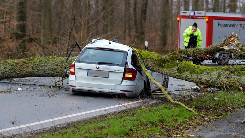 17.02.2022, Niedersachsen, Bad Bevensen: Ein durch den Sturm umgestürzter Baum liegt auf einem Pkw. Der 37-jährige Fahrer wurde dabei tödlich verletzt. 
