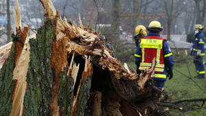  Das Technische Hilfswerk THW bei Aufräumarbeiten eines umgestürzten Baumes durch den Sturm am 17.02.2022 in Berlin Moabit