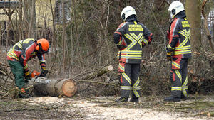 18.02.2022, Neuenhagen, Brandenburg, GER - Feuerwehrmann zersaegt einen gefaellten Baum. Alltag, aussen, Aussenaufnahme, Baum, Baumschaden, Baumstamm, Berufsfeuerwehr, Berufsleben, Brandenburg, deutsch, Deutschland, Europa, europaeisch, Feuerwehr, Feuerwehreinsatz, Feuerwehrmaenner, gefaellt, Gesellschaft, Helfer, Hilfe, Jahreszeit, Job, Menschen, Neuenhagen, Neuenhagener Feuerwehr, Personen, QF, Querformat, saegen, Stadt, Stadtleben, Strasse, Strassenszene, Sturmschaden, Westeuropa, Winter, Wirtschaft, zersaegen 220218D517NEUENHAGEN.JPG *** 18 02 2022, Neuenhagen, Brandenburg, GER firefighter saws up a fallen tree everyday, outside, exterior shot, tree, tree damage, tree trunk, professional firefighters, professional life, Brandenburg,