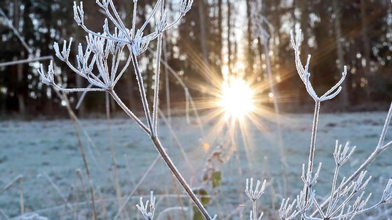 Ein kalter Morgen in Siegen-Oberschelden, Frost hat sich auf die Baeume und Wiesen gelegt, die Morgensonne scheint durch die Baeume Winter im Siegerland.
