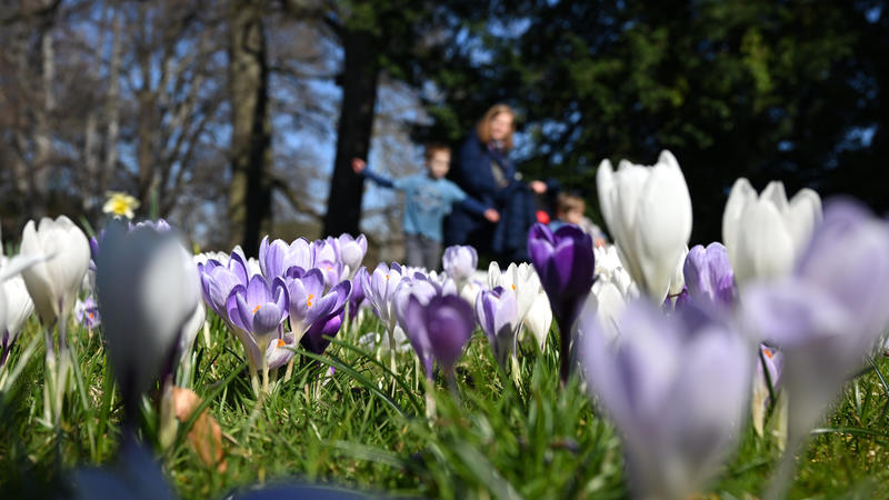 20 Grad - am Mittwoch möglich