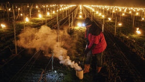 Wine grower Patrick Clavelin repairs a large anti-frost candle in a vineyard of the Jura region, central France, early Monday April 4, 2022 in Le Vernois. Plunging April temperatures around France are threatening vineyards and other important crops. Vintners are scrambling to find ways to protect the vines from the frost, which comes after an unusually mild winter and is hitting countries around Europe. (AP Photo/Laurent Cirpriani)