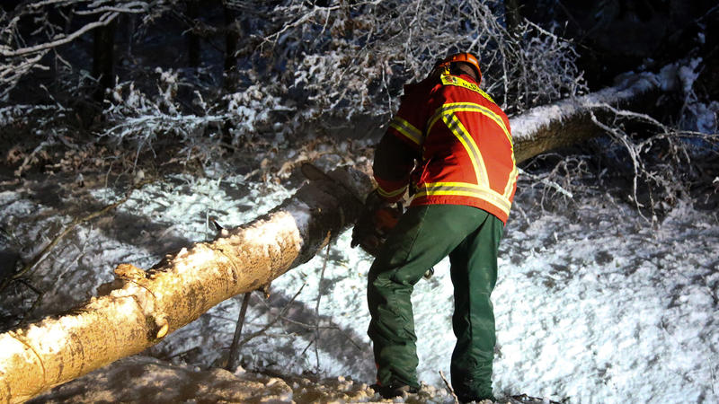 09.04.2022, Bayern, Elsenfeld: Die Feuerwehr ist bei Elsenfeld im Einsatz nach einem Wintereinbruch und beseitigt einen umgestürzten Baum. Zu zahlreichen Schneeeinsätzen mussten die Feuerwehren im Kreis Miltenberg in der Nacht zum Samstag ausrücken. 