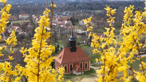 Frühling