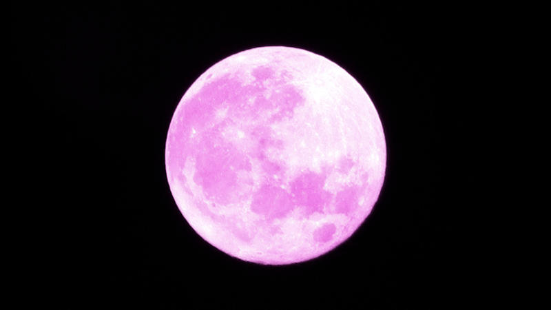 Pink Moon leuchtet am Nachthimmel: Vollmond