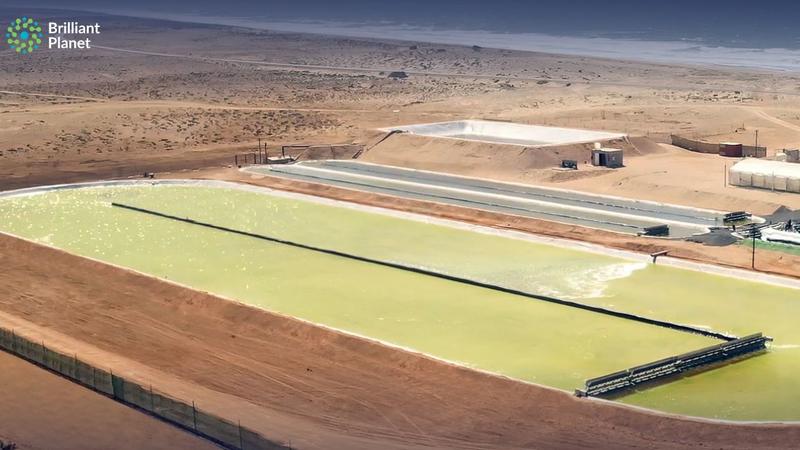 Hier gibt es Sonne, Wasser und CO2: Die Algenfarm von Brilliant Planet an der Küste von Marokko