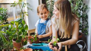 Close up of happyâ€âs hand spraying water on houseplants. Daughter helping her mother potting seedlings at table. Mother and daughter planting together on balcony