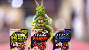 Anstatt Fleisch könnten wir nahrhafte Insekten essen.