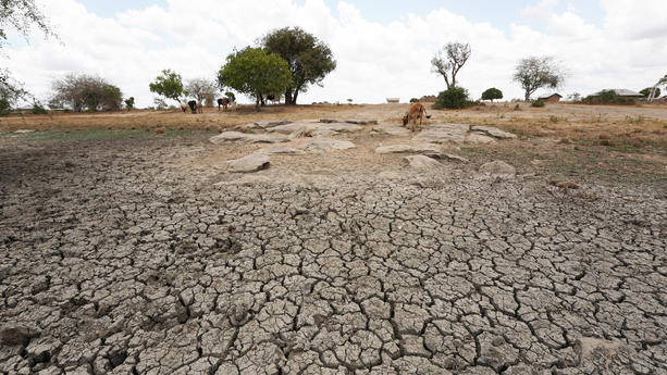 Seit dem Jahr 2000 ist die Zahl und Dauer von Dürreperioden global gesehen um 29 Prozent gestiegen. Das geht aus dem UN-Dürrebericht hervor. Und auch Europa hat immer mehr mit Trockenperioden zu kämpfen.
