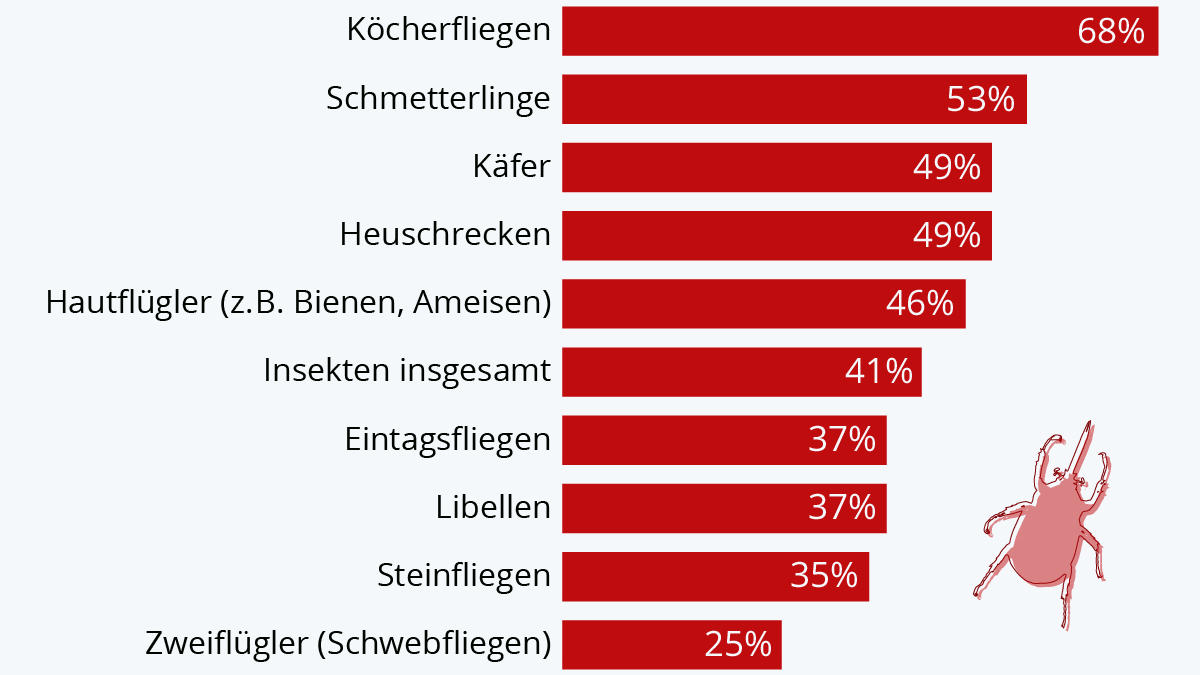 Weltweit sind mehr als 40 Prozent der Insektenarten vom Aussterben bedroht.