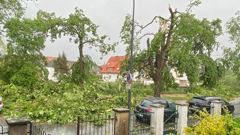20.05.2022, Nordrhein-Westfalen, Lippstadt: Umgestürzte Bäume nach einem mutmaßlichen Tornado in Lippstadt. Ein mutmaßlicher Tornado hat am Freitagnachmittag massive Schäden verursacht. Betroffen sei das gesamte Stadtgebiet, sagte ein Feuerwehrsprech