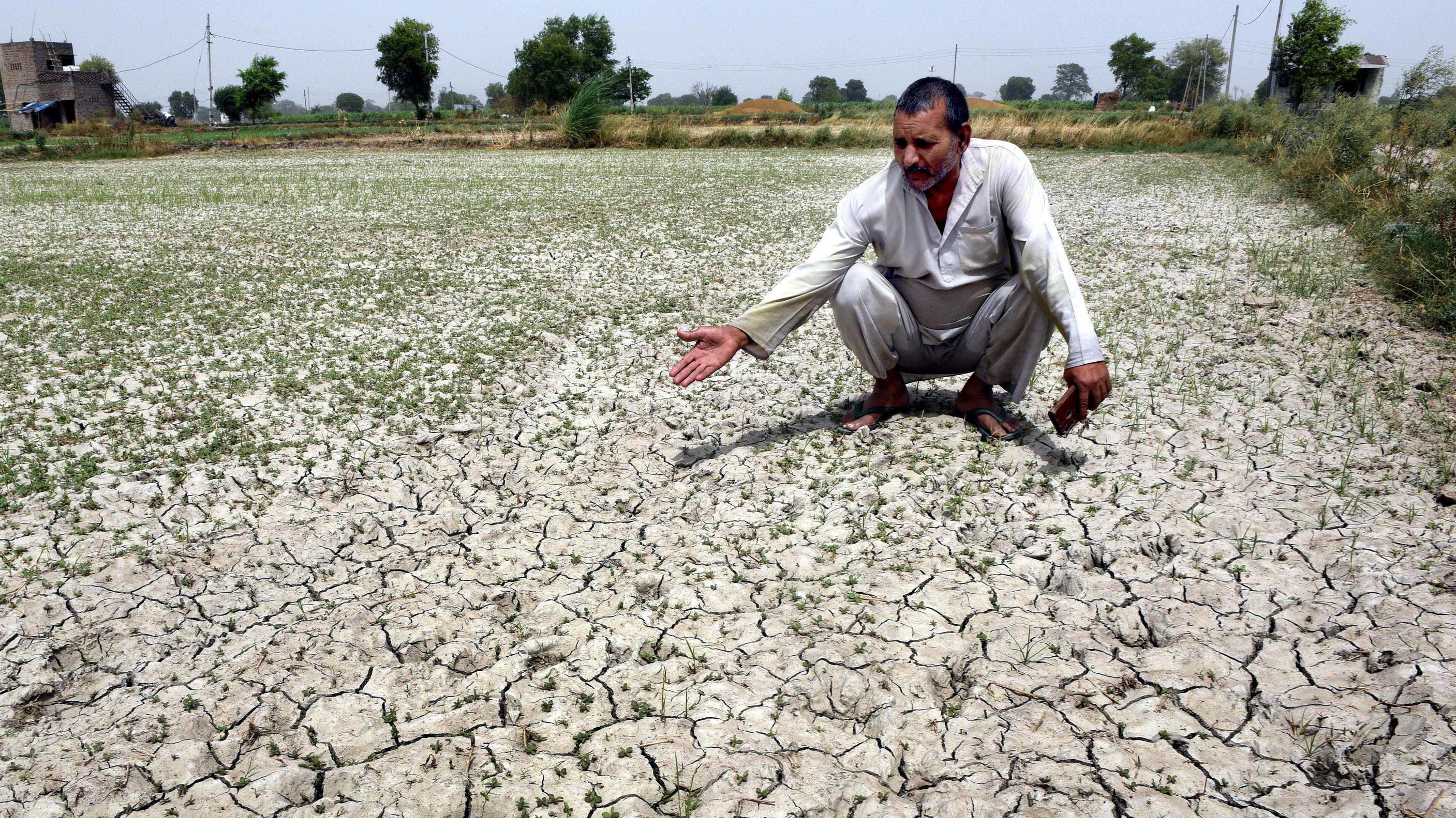 NEW DELHI, INDIA - MAY 16: A farmer shows a patch of the parched of field at Mungeshpur on May 16, 2022 in New Delhi, India. Mungeshpur was the hottest place in India on Sunday, with the maximum temperature 49.2 degrees Celsius. Photo by Arvind Yadav