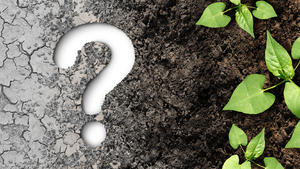 Climate change question as a dried or dry cracked land suffering from drought turning into rich moist organic earth with a growing young plant as a composite.