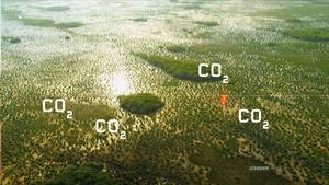 Klimaupdate Everglades