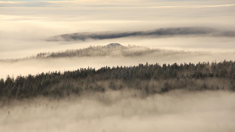 Dichter Nebel zieht über die Harzberge. Ein Hauch von Winter zeigt sich im Harz mit einer dünnen Schneedecke in den oberen Bergregionen.
