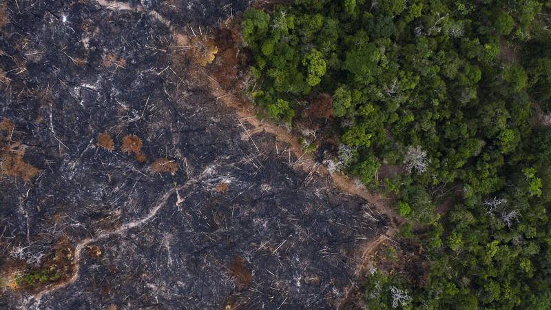 Ein verbranntes Gebiet des Amazonas-Regenwaldes in der Region Pacoval in Prainha, Bundesstaat Para, Brasilien.