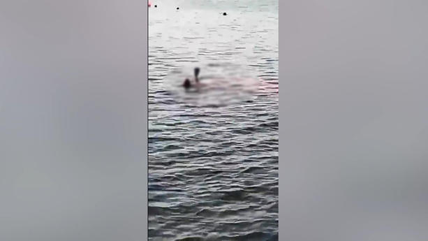 Horror-Hai-Angriff in Ägypten! Eine Rentnerin aus Österreich wurde am Freitag vor der Küste von Sahl Hasheesh nahe Hurghada im Roten Meer von einem Hai getötet. 