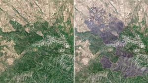 Satellitenbilder Spanien, Waldbrand, 14.07.2022